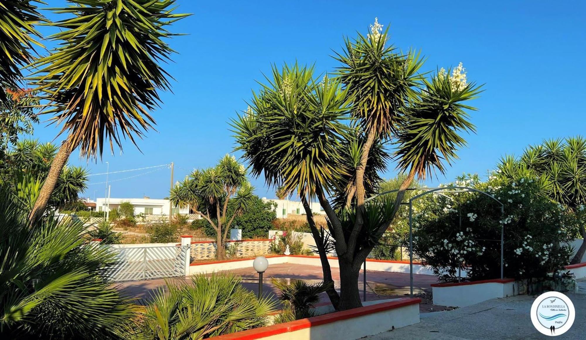 Villa La Rondinella - Torre San Giovanni Dış mekan fotoğraf