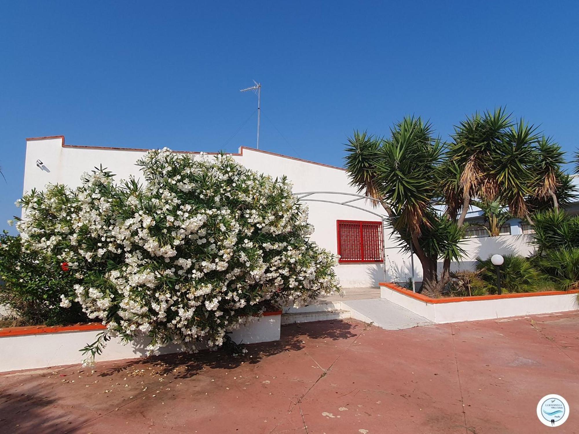 Villa La Rondinella - Torre San Giovanni Dış mekan fotoğraf